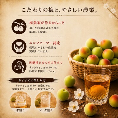 梅酒 治三郎 720ml 超辛口  梅酒