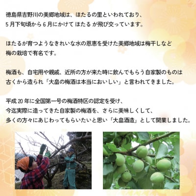 梅酒 純情梅酒 500ml 長期 熟成 4年  梅酒 大畠酒造