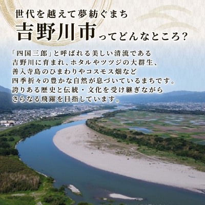 梅酒 純情梅酒 500ml 長期 熟成 4年  梅酒 大畠酒造