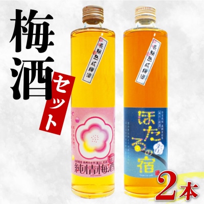 梅酒 飲み比べ 純情梅酒 ほたるの宿 長期熟成 熟成 500ml 計2本 