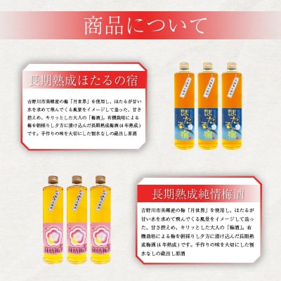 梅酒 飲み比べ 純情梅酒 ほたるの宿 長期熟成 熟成 500ml 計2本 