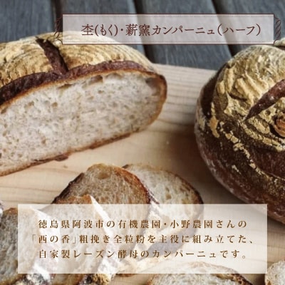 冷凍 パン ハード系 定番 3個 フランスパン カンパーニュ パン 全粒粉 パン 天然酵母 パン