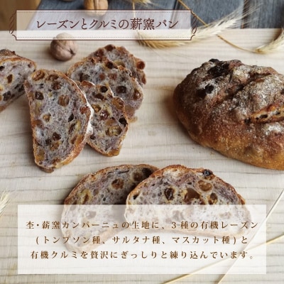冷凍 パン ハード系 定番 3個 フランスパン カンパーニュ パン 全粒粉 パン 天然酵母 パン