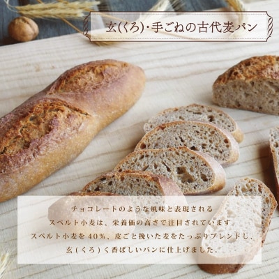 冷凍 パン ハード系 定番 3個 フランスパン カンパーニュ パン 全粒粉 パン 天然酵母 パン