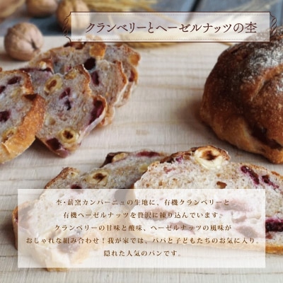 冷凍 パン ハード系 定番 5個 ハードパン パン ハードパン