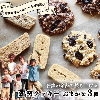  クッキー おまかせ 3種 有機 オートミール クッキー