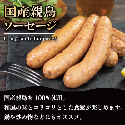 訳ありソーセージ 3種 各2パック 極太