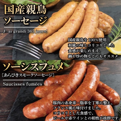 訳ありソーセージ 6種 セット 極太 