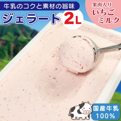 ジェラート 2L いちごミルク 