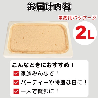 ジェラート 2L バニラ アイスクリーム