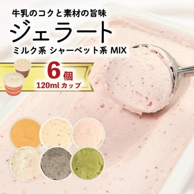 ジェラート 詰め合わせ 120ml 6個 アイス ジェラート アイス ジェラート アイス