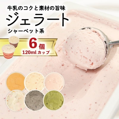 ジェラート 詰め合わせ 120ml 6個  シャーベット系 のみ ジェラート 