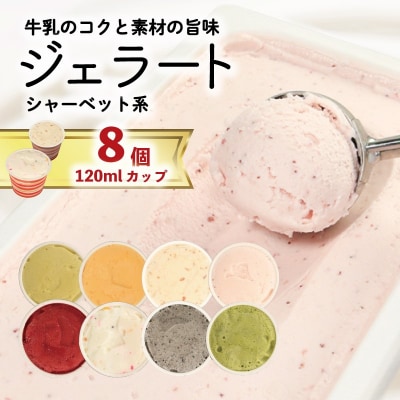 ジェラート  詰め合わせ 120ml 8個  シャーベット系 のみ ジェラート