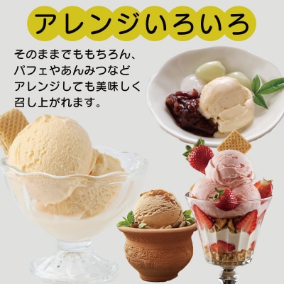 ジェラート  詰め合わせ 120ml 8個  シャーベット系 のみ ジェラート