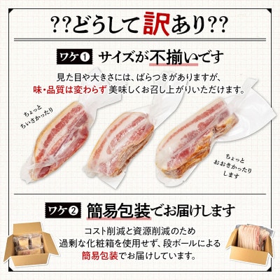 訳あり ベーコン ブロック 計500g (250g×2) 冷凍