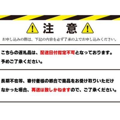 訳あり ベーコン ブロック 計500g (250g×2) 冷凍