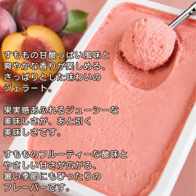 ジェラート 2L すもも アイスクリーム