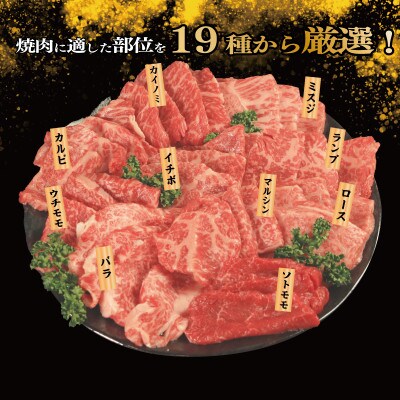 焼肉 セット 牛肉 おまかせ 5種 国産和牛 ロース バラ 外もも 内もも