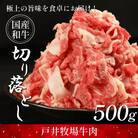 切り落とし 牛肉  500g  ウデバラ スライス