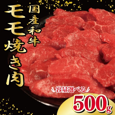 牛肉 もも 500g 