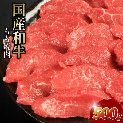牛肉 もも 500g