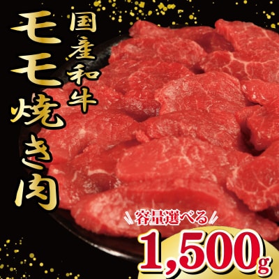 牛肉 もも 1.5kg