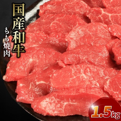 牛肉 もも 1.5kg