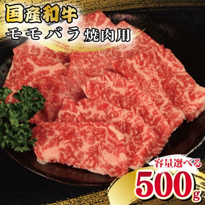 牛肉 モモ バラ 500g 焼肉 国産和牛