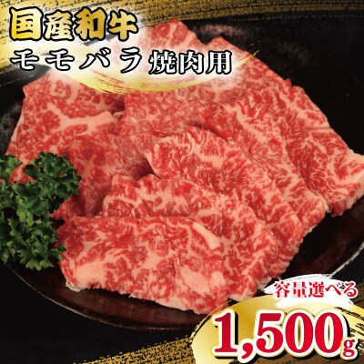 牛肉 モモ バラ 1.5kg 焼肉 国産和牛