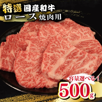 牛肉 特選 ロース 500g 焼肉用 国産和牛