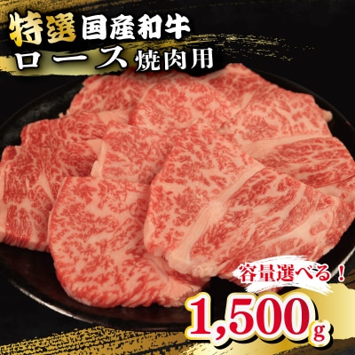 牛肉 特選 ロース 1.5kg 焼肉用 国産和牛