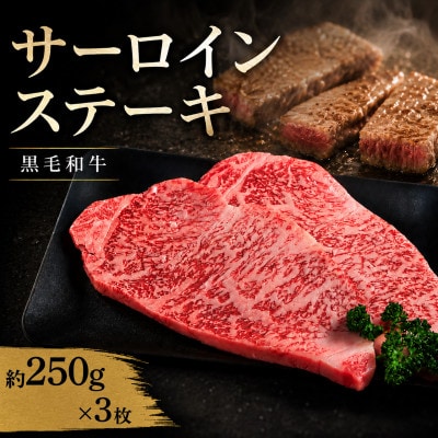 サーロイン 黒毛和牛 ステーキ肉 1枚約250g 3枚 (計750g) 国産和牛