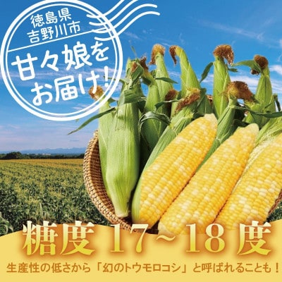 【 先行予約 】 とうもろこし 甘々娘 4kg 2026年発送分 スイートコーン 冷蔵