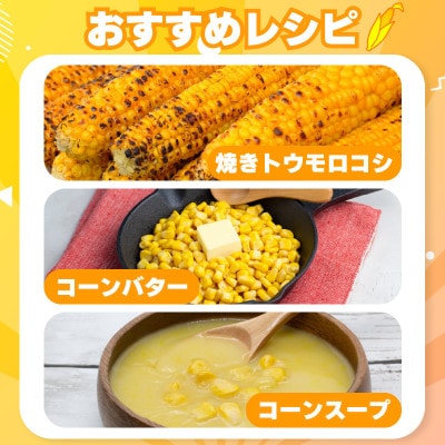 【 先行予約 】 とうもろこし 甘々娘 4kg 2026年発送分 スイートコーン 冷蔵