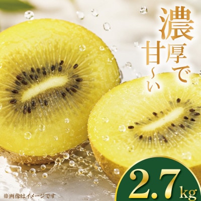 イエロージョイ  約2.7kg (S～Mサイズ 6パック入り) ゴールドキウイ
