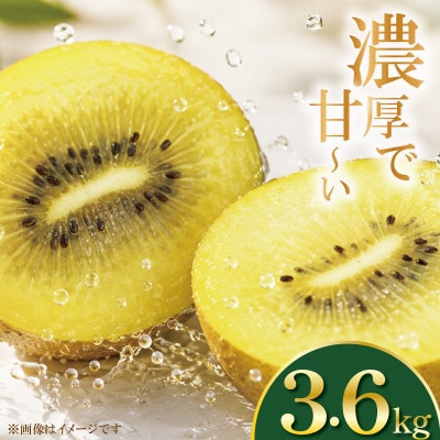 イエロージョイ 約3.6kg (S～Mサイズ 8パック入り) ゴールドキウイ