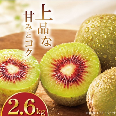 キウイフルーツ 紅妃 約2.6kg (S～Mサイズ 6パック入り)ギフトにも
