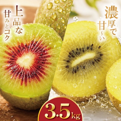 イエロージョイ・紅妃 詰め合わせ 約3.5kg キウイフルーツ食べ比べセット