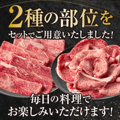  宮崎県産黒毛和牛赤身(ウデまたはモモ)・霜降り焼きしゃぶ500g