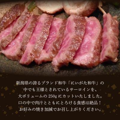 にいがた和牛サーロインステーキ