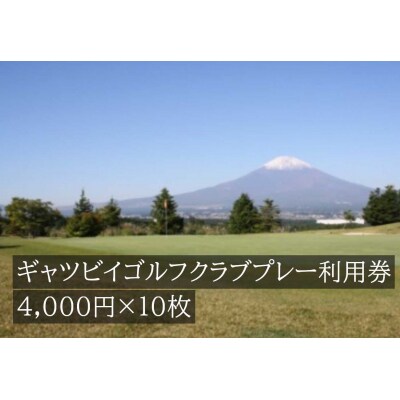 ギャツビイゴルフクラブプレー利用券　10枚 【小山町内 ゴルフ場 共通利用券】