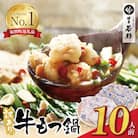 博多若杉 【訳あり】牛もつ鍋10人前(2人前×5セット)