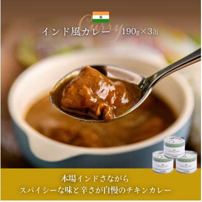 五島軒　オリジナル缶詰カレー10缶ギフト_HD030-010