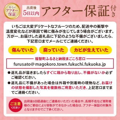 アルギット農業「あまおう苺」(4パック)