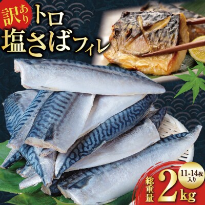 訳あり 減塩 無添加 トロ塩サバ フィレ Mサイズ 総重量 2kg 20565167