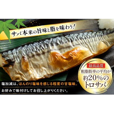 訳あり 減塩 無添加 トロ塩サバ フィレ Mサイズ 総重量 2kg 20565167