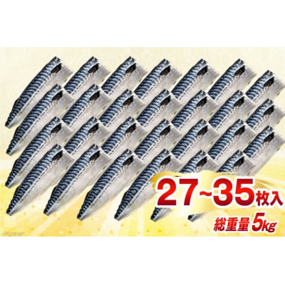 訳あり 減塩 無添加 トロ塩サバ フィレ Mサイズ 総重量 5kg 20565571