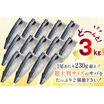 訳あり トロ塩サバ フィレ LLサイズ 3kg ★フィレ1枚230g超え![20565620] 