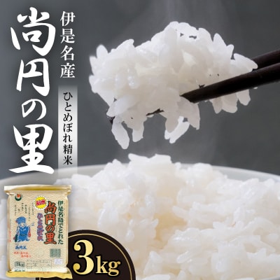 【2025年9月から順次発送・数量限定】尚円の里 伊是名産ひとめぼれ精米 3kg×1袋