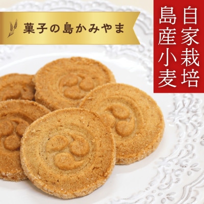 伊是名島産の自家製麦使用!いぜな島の香りをお届けする王様クッキー 4箱(1箱15枚)